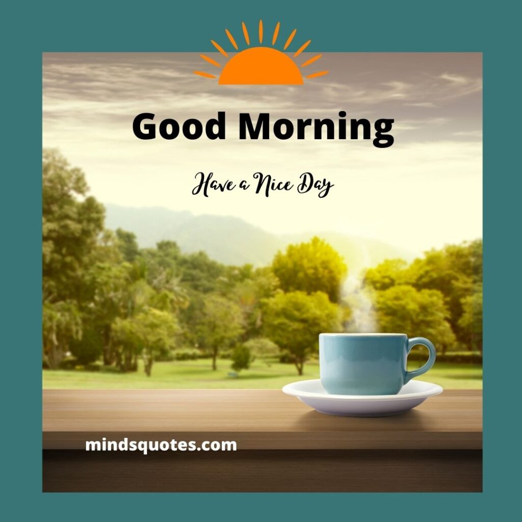 Beautiful Good Morning Have A Nice Day Images [2023]