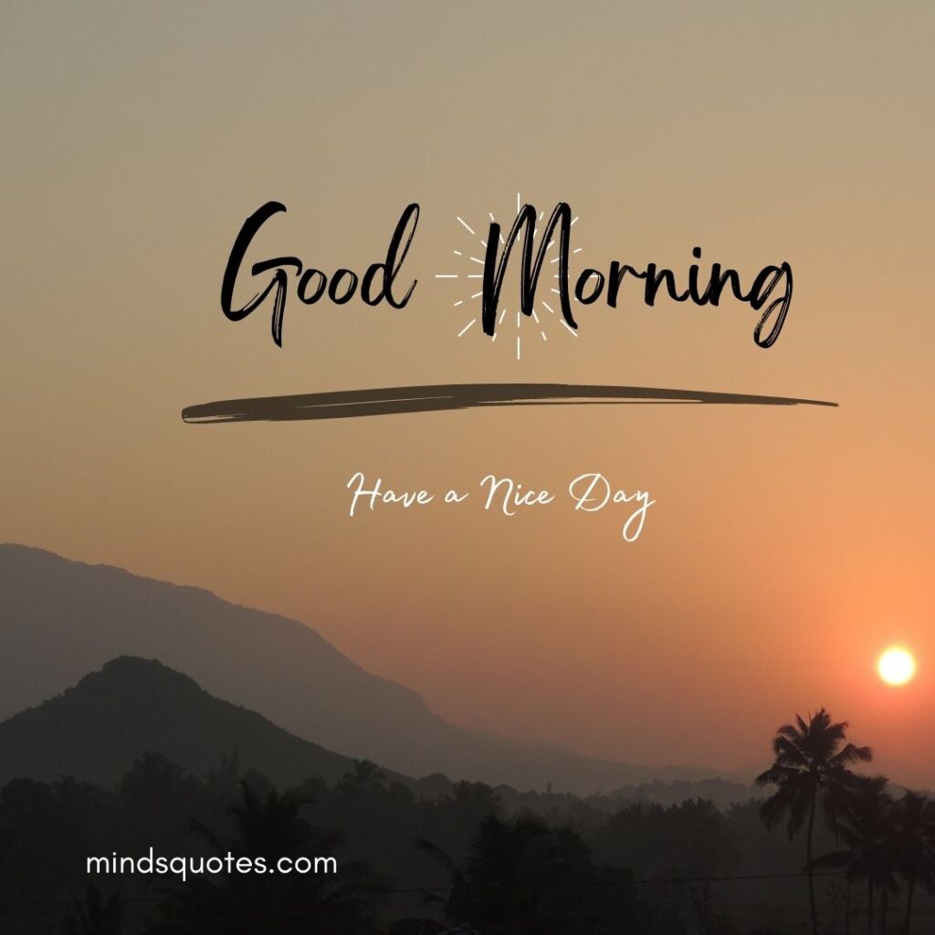 50 Good Morning Have a Nice Day Images Make It a Great Day 14 Good Morning Have a Nice Day Images