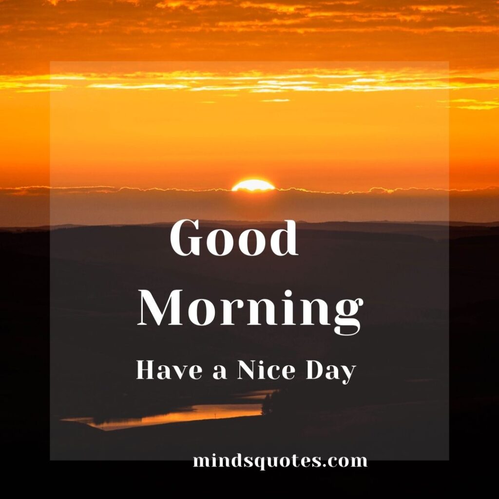 50 Good Morning Have a Nice Day Images Make It a Great Day 15 Good Morning Have a Nice Day Images