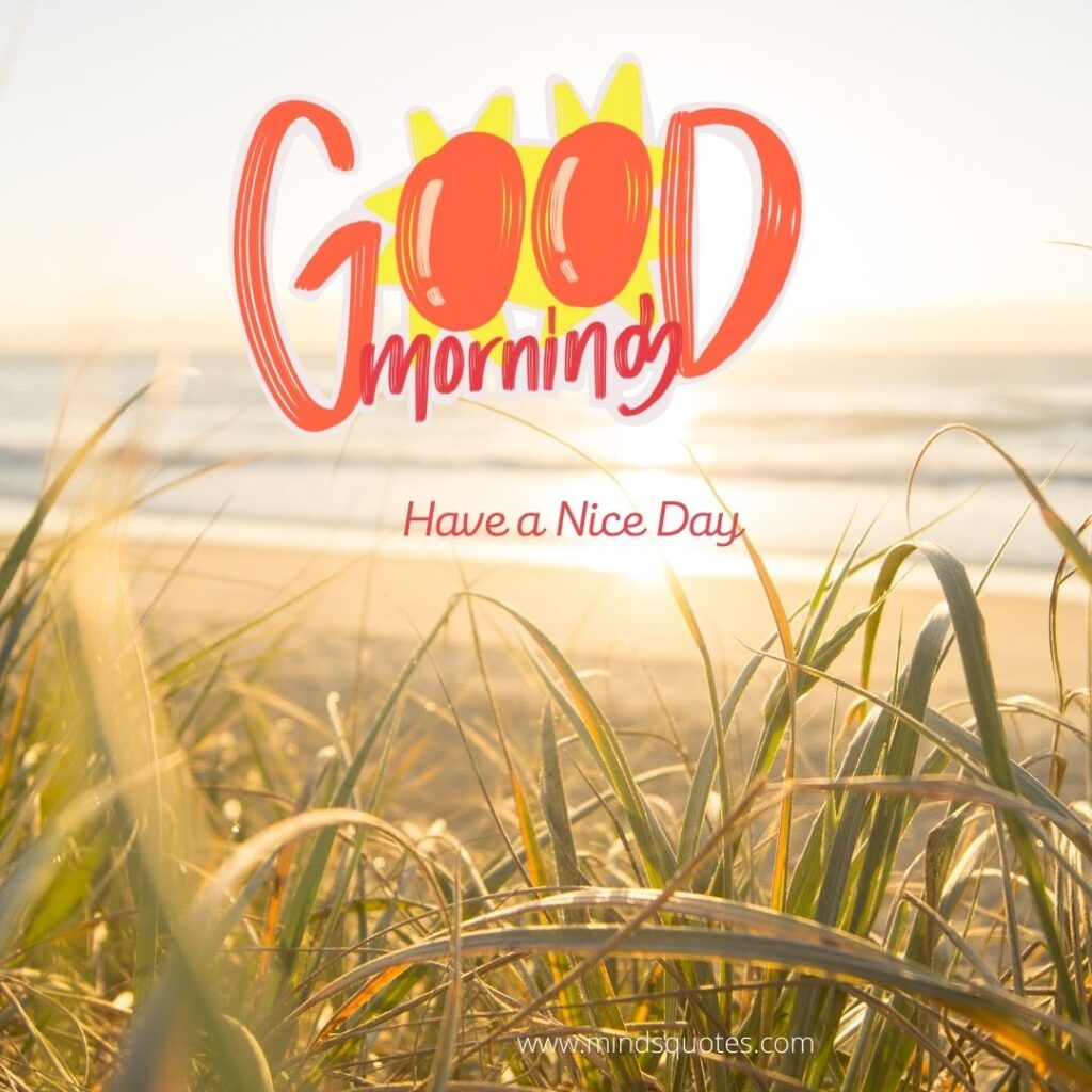 50 Good Morning Have a Nice Day Images Make It a Great Day 20 Good Morning Have a Nice Day Status