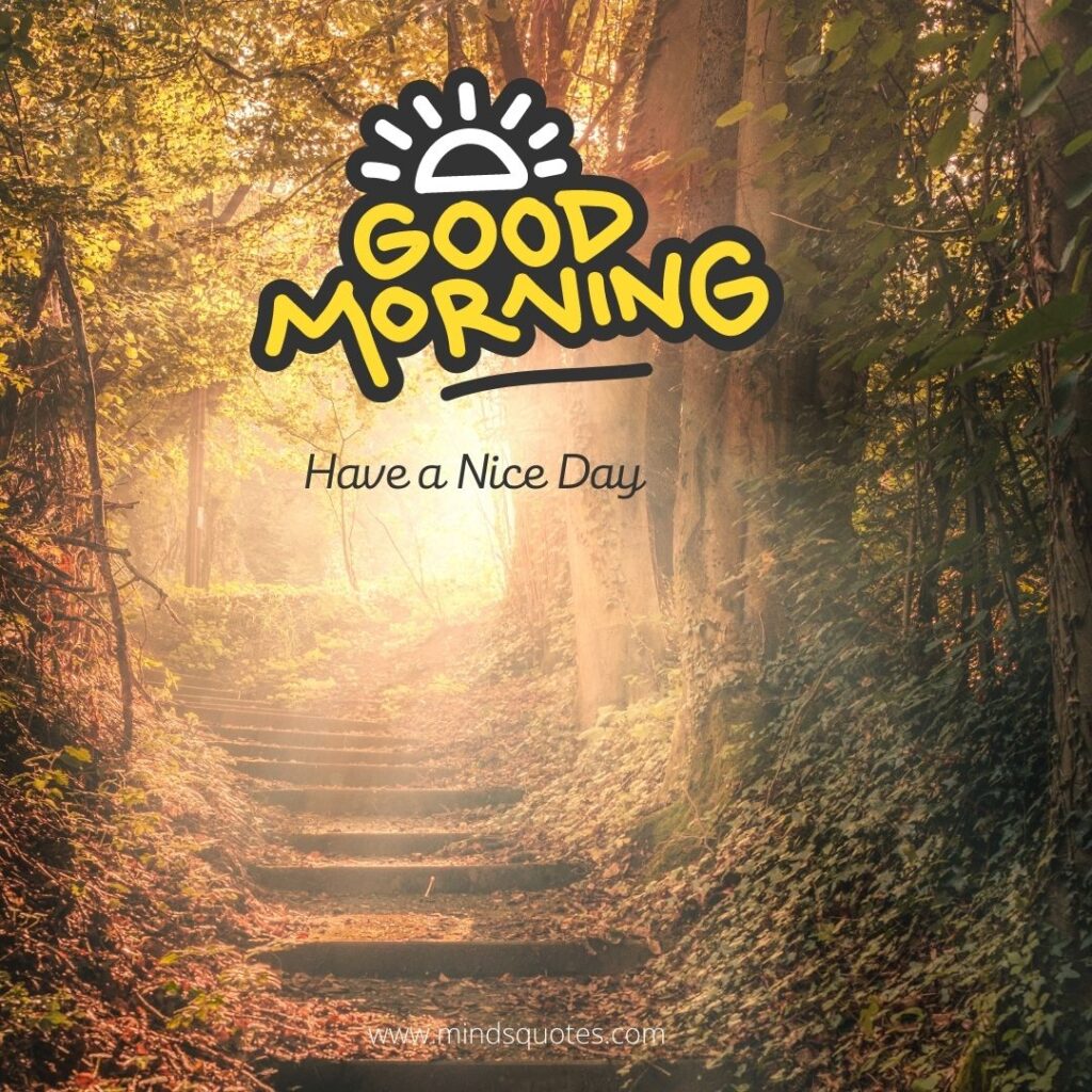 50 Good Morning Have a Nice Day Images Make It a Great Day 21 Good Morning Have a Nice Day Status