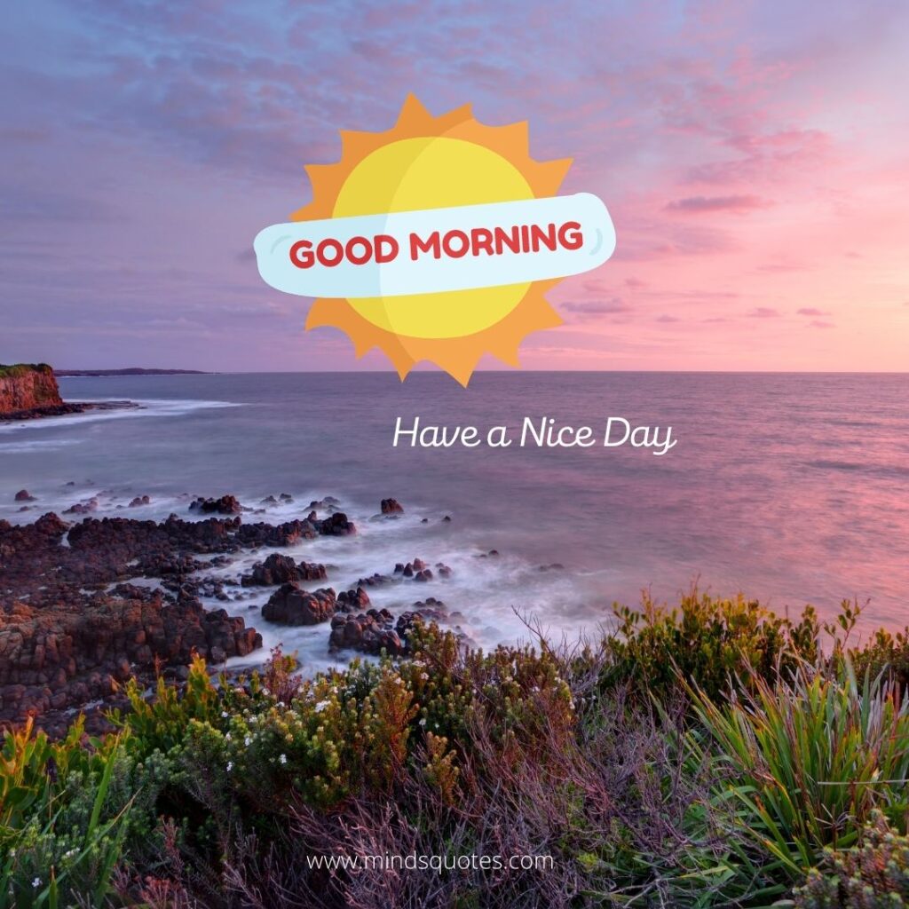 50 Good Morning Have a Nice Day Images Make It a Great Day 22 Good Morning Have a Nice Day Status