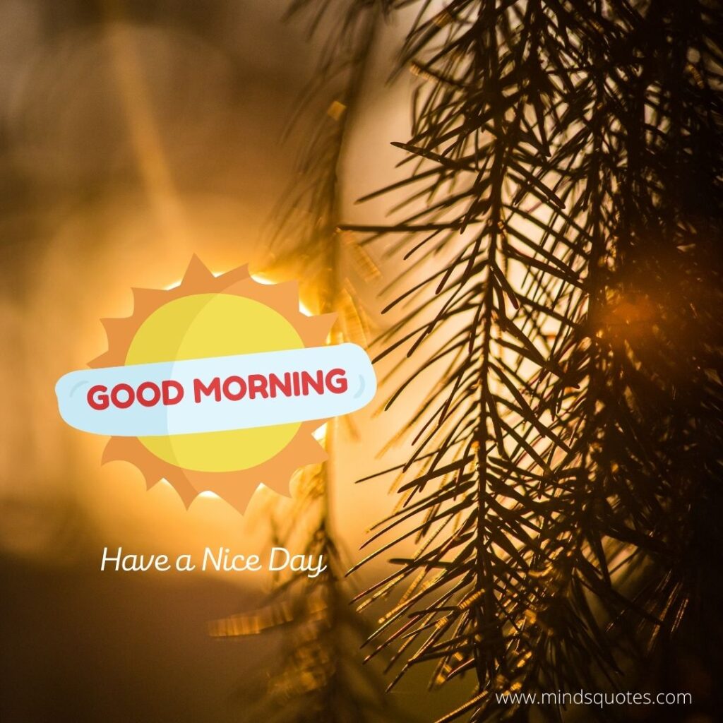 50 Good Morning Have a Nice Day Images Make It a Great Day 23 Good Morning Have a Nice Day Status