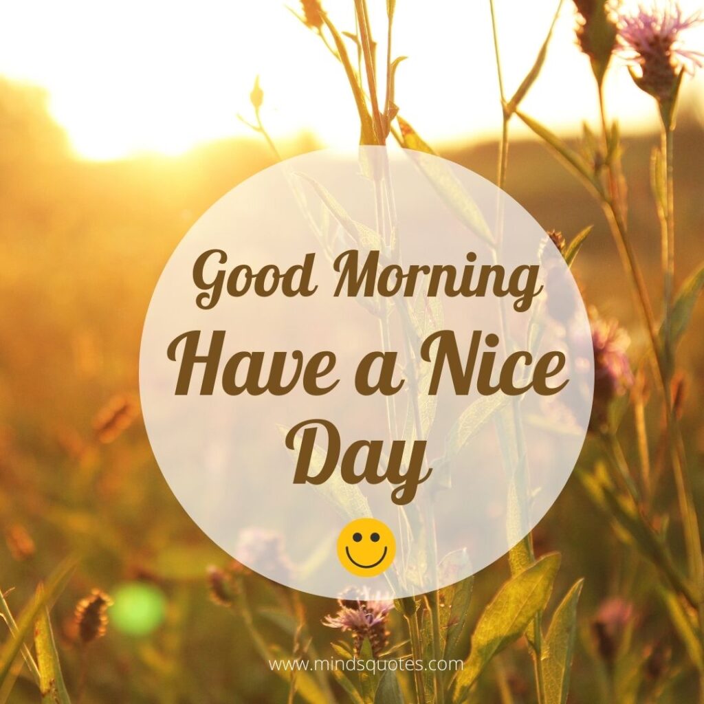 Have A Nice Day Quotes For Friends