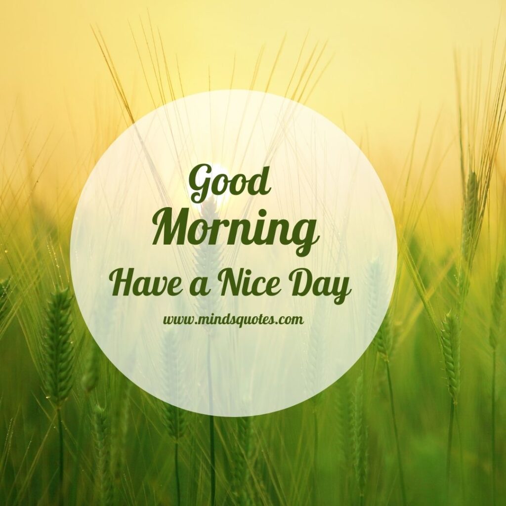 Good Morning Have A Nice Day Quotes