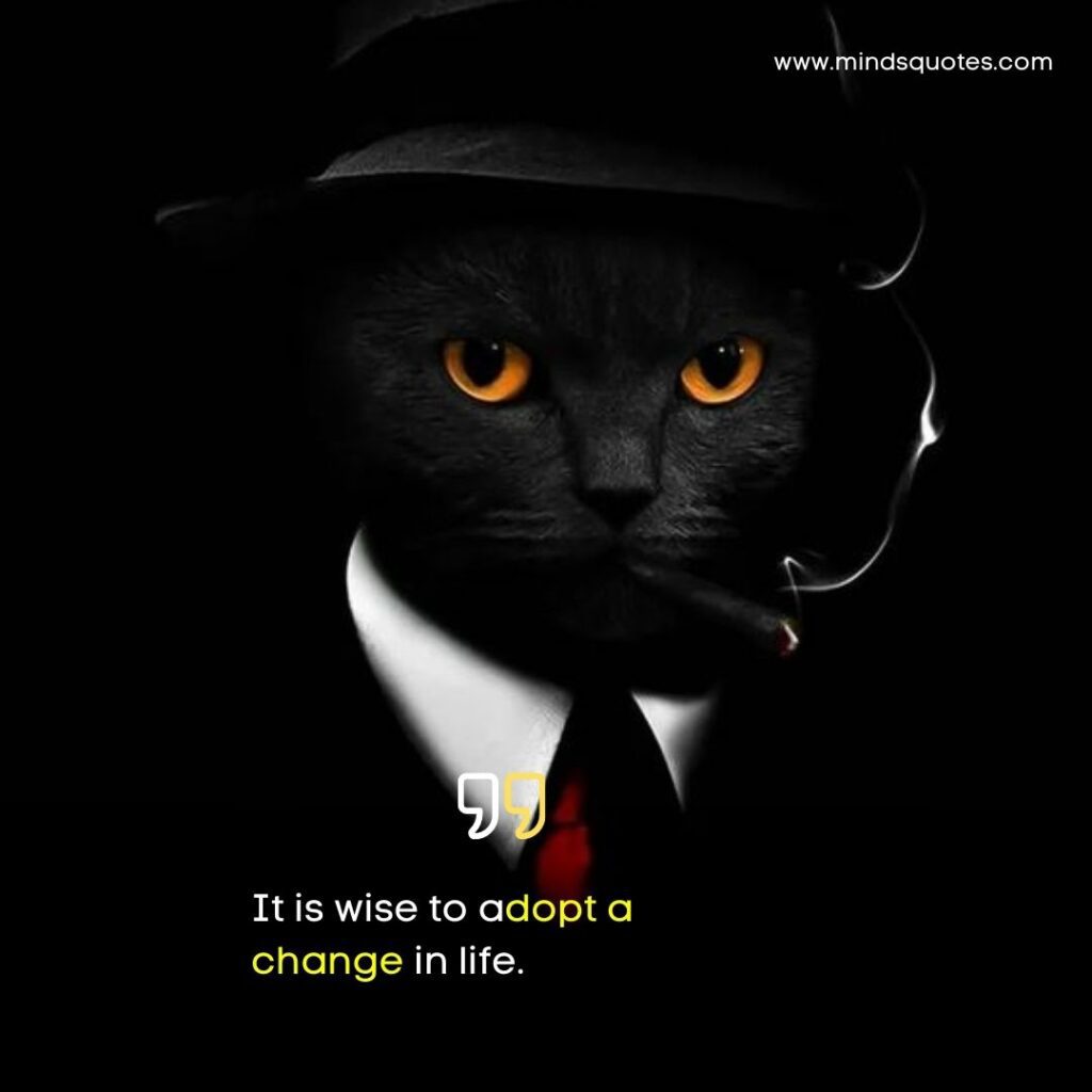 165+ BEST High Attitude Quotes in English 16 High Attitude Quotes for Boys in English