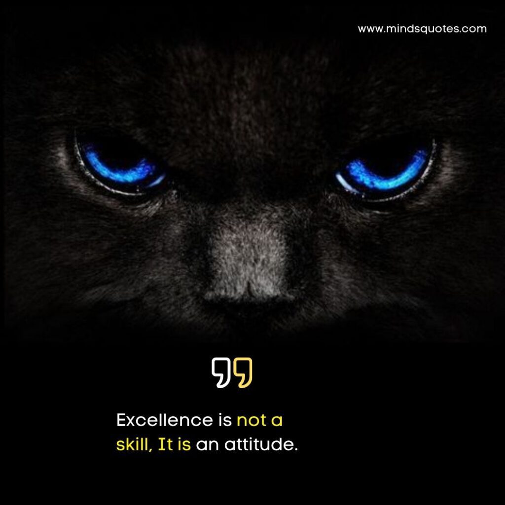 165+ BEST High Attitude Quotes in English 17 High Attitude Quotes for Boys in English