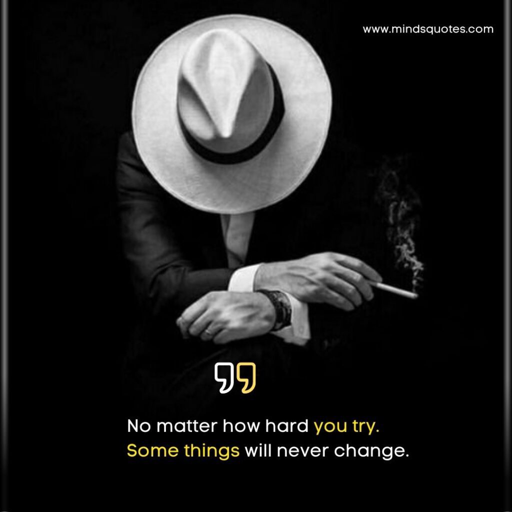 165+ BEST High Attitude Quotes in English 6 High Attitude Quotes in English