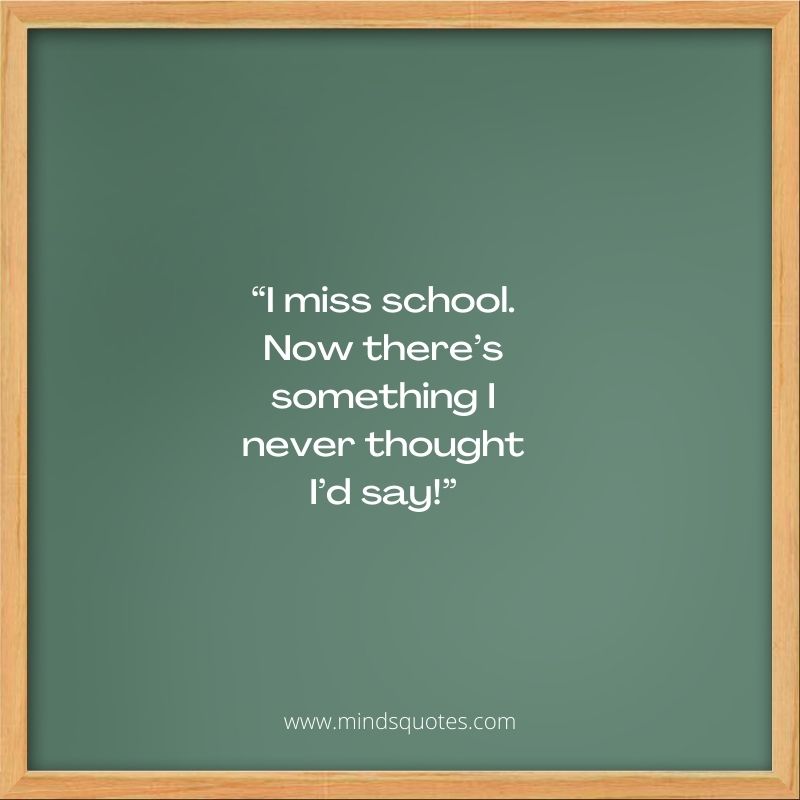 71 BEST School Memory Quotes To Missing School Memories 7 I miss school Quotes