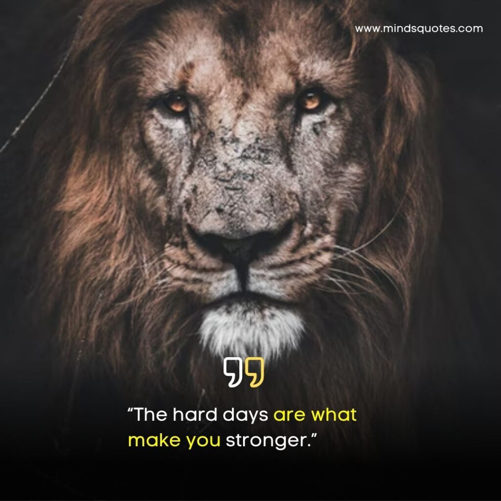 57+ Best Motivational DP for WhatsApp & Facebook in English 26 Motivational Quotes for WhatsApp DP