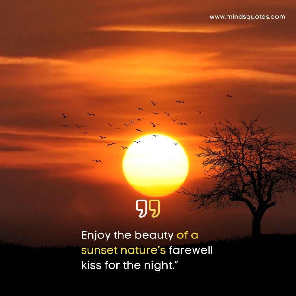 Romantic Sunset Quotes