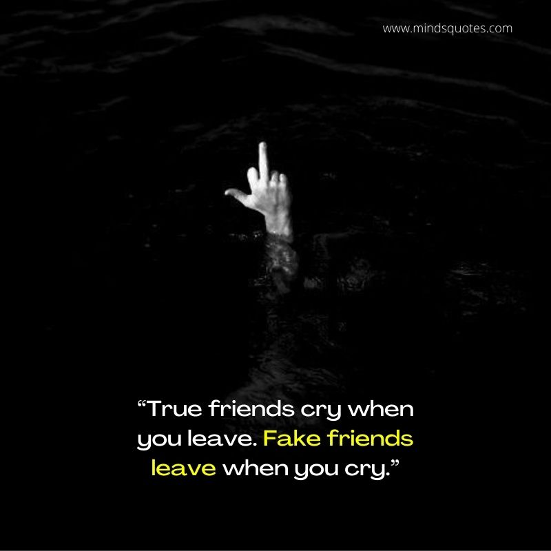 77+ BEST Attitude Quotes for Fake Friends in English 13 Savage Attitude Quotes for Fake Friends
