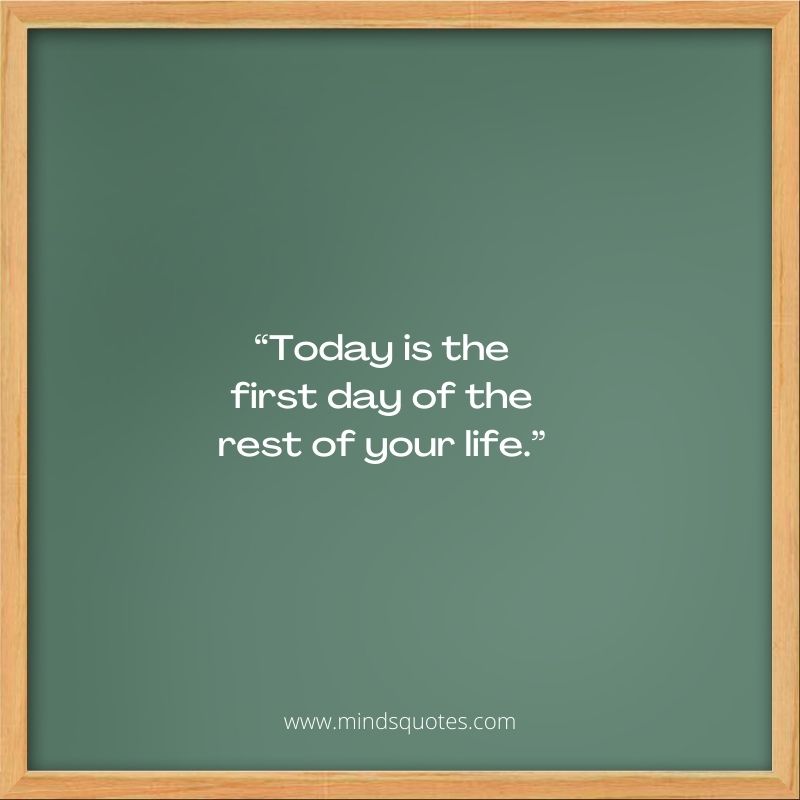 71 BEST School Memory Quotes To Missing School Memories 5 School Memory Quotes