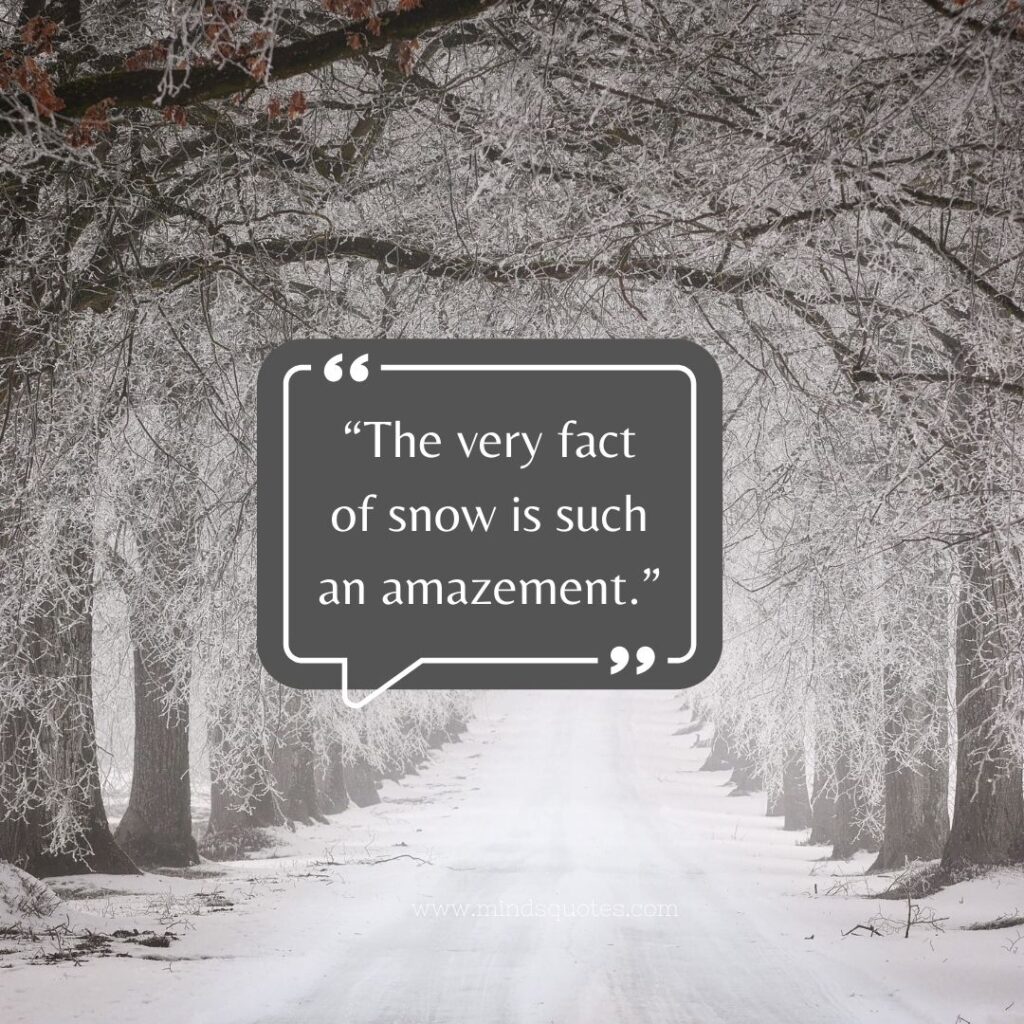 Short Snow Quotes