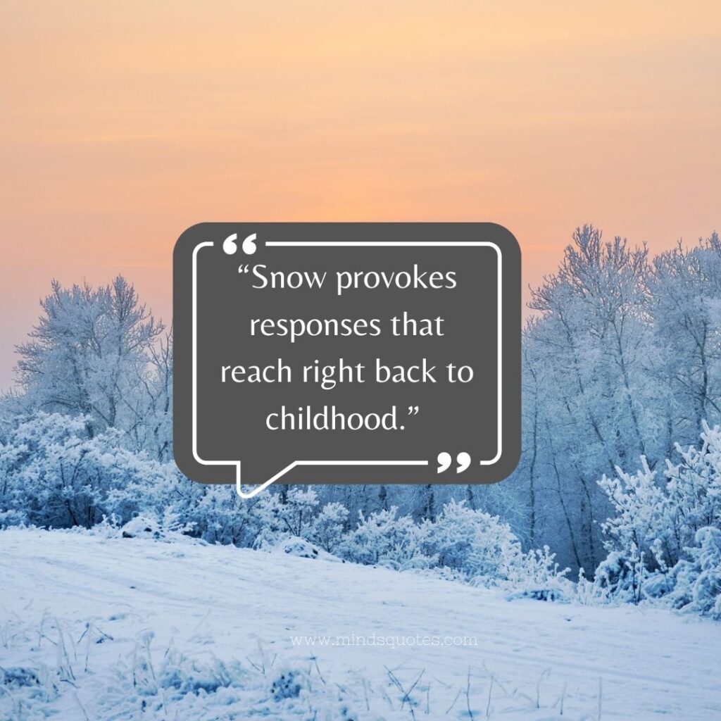95 Best Snow Quotes To Make You Smile On A Cold Winter Day 3 Snow Quotes