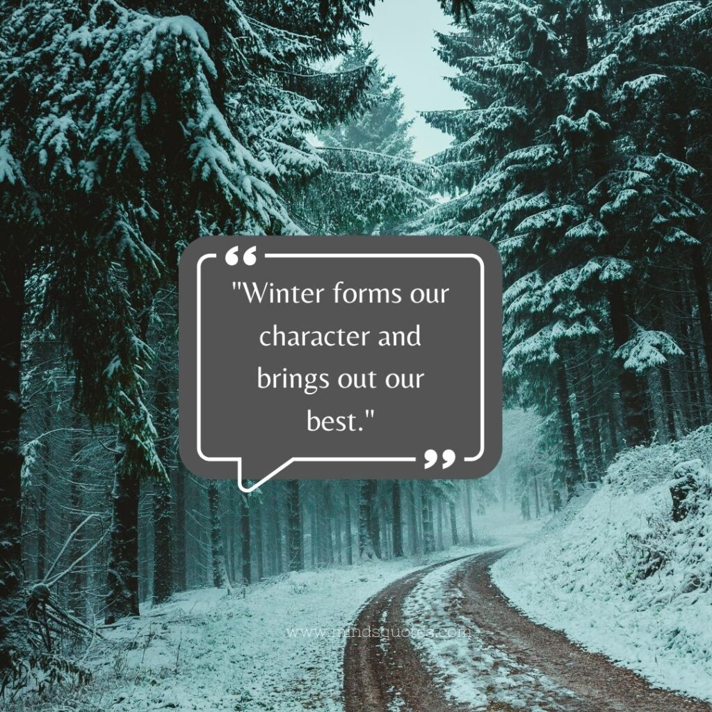 Snow Quotes for Instagram