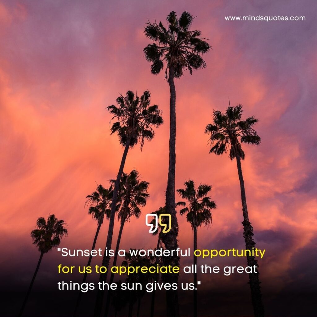 Sunset Quotes About Life