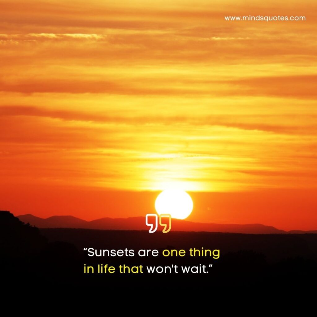 125 Beautiful Sunset Quotes To Soothe Your Soul 18 Sunset Quotes About Life