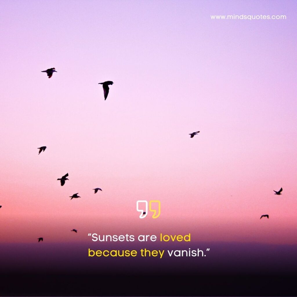 Sunset Quotes Love