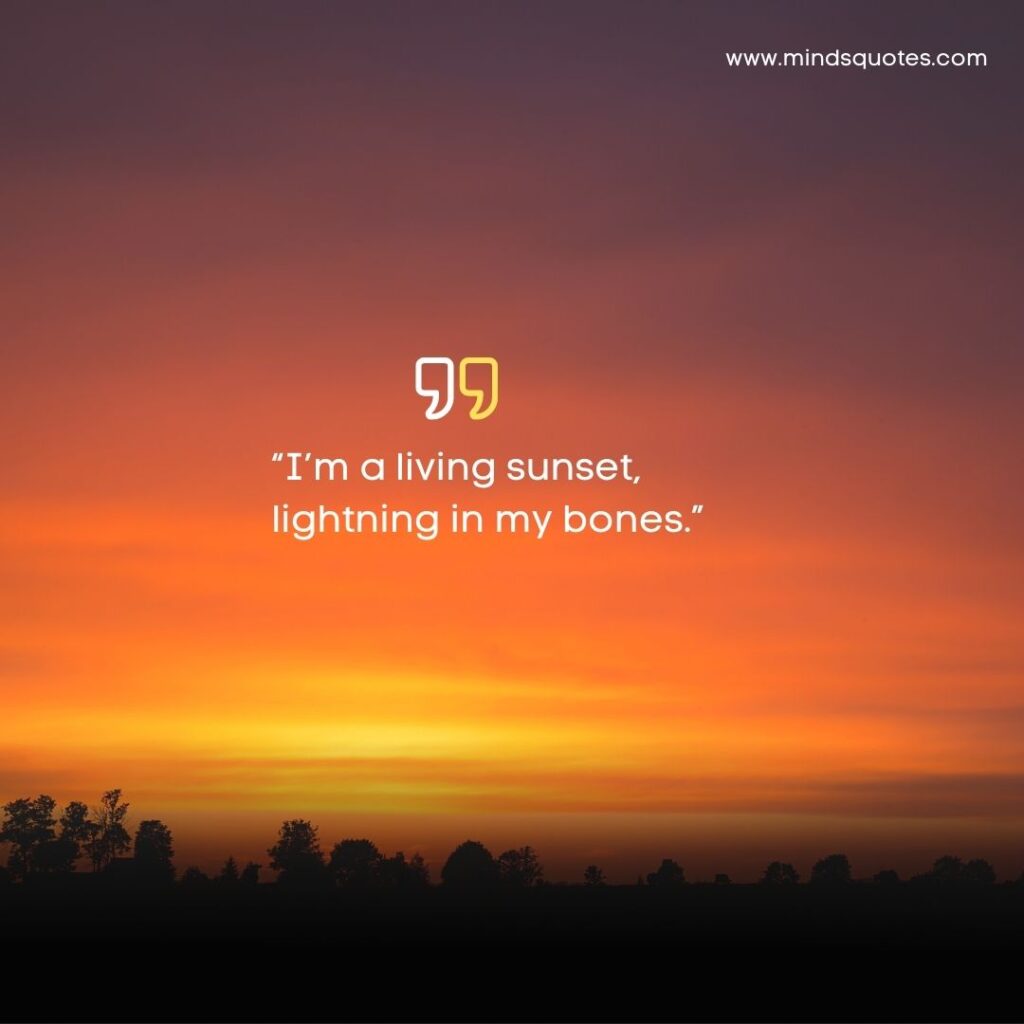 125 Beautiful Sunset Quotes To Soothe Your Soul 6 Sunset Quotes in English