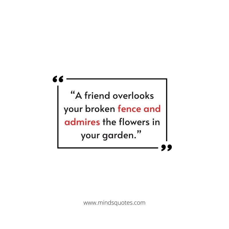 75 Best Friend Quotes In English To Show Your Appreciation 7 True Best Friend Quotes for Whatsaap