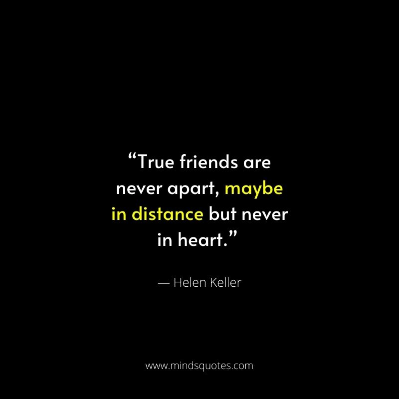 75 BEST True Friendship Quotes That Will Warm Your Heart 14 True Friendship Quotes