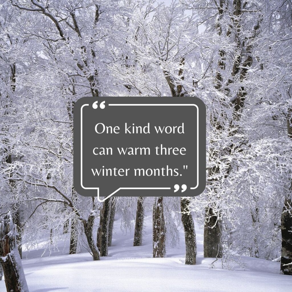 95 Best Snow Quotes To Make You Smile On A Cold Winter Day 10 Winter Snow Quotes