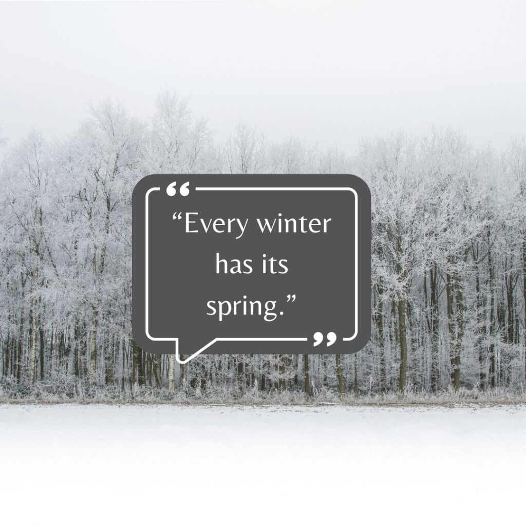 95 Best Snow Quotes To Make You Smile On A Cold Winter Day 9 Winter Snow Quotes