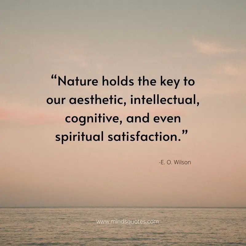 120+ BEST Inspiring Aesthetic Quotes About Love & Life 5 aesthetic positive quotes