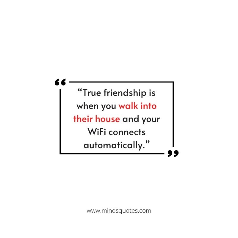 75 Best Friend Quotes In English To Show Your Appreciation 14 funny best friend quotes
