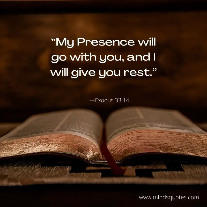100 Bible Quotes A Timeless Source of Inspiration and Wisdom 4 inspirational bible quotes