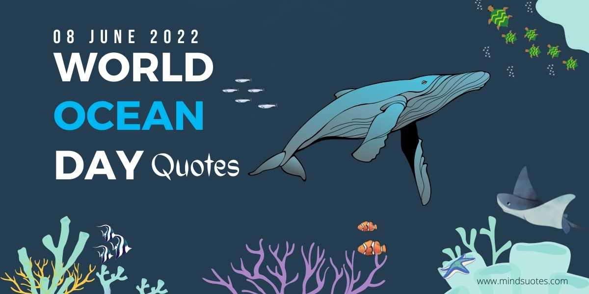55 Happy World Ocean Day Quotes, Messages & Wishes