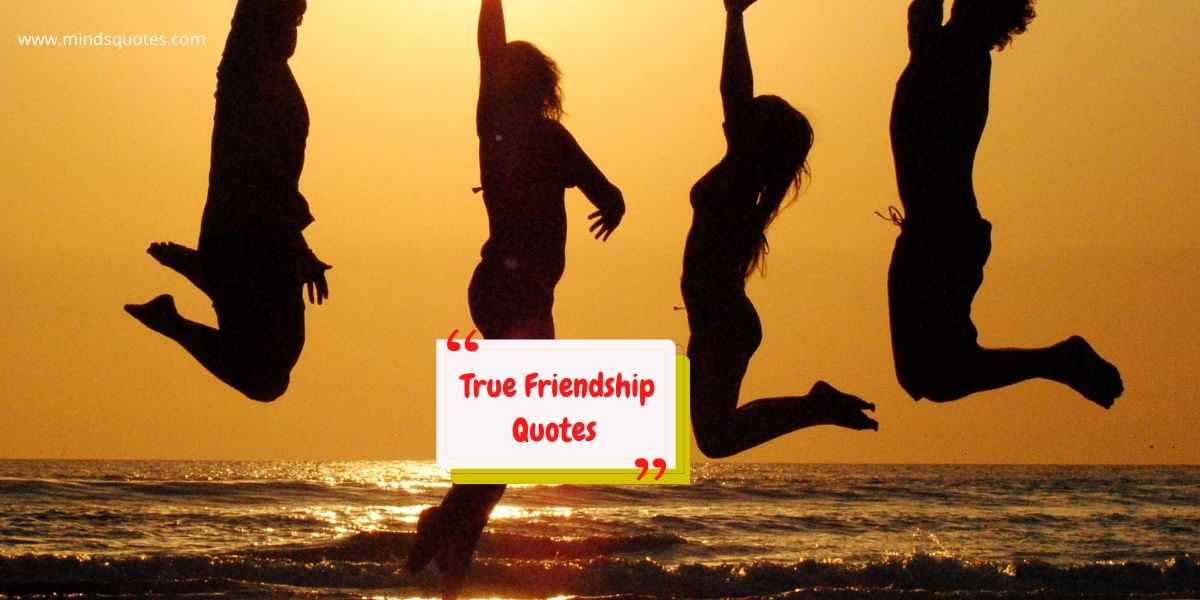 75 BEST True Friendship Quotes That Will Warm Your Heart