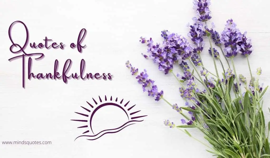 87+ BEST Quotes of Thankfulness & Gratitude in English
