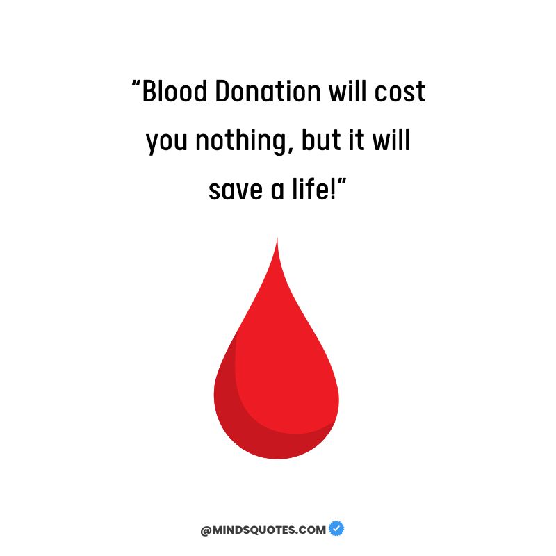 Blood Donation Slogans 2022 