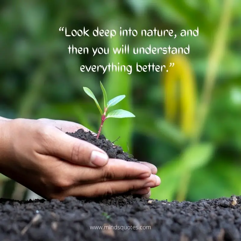 Environment Day Quotes
