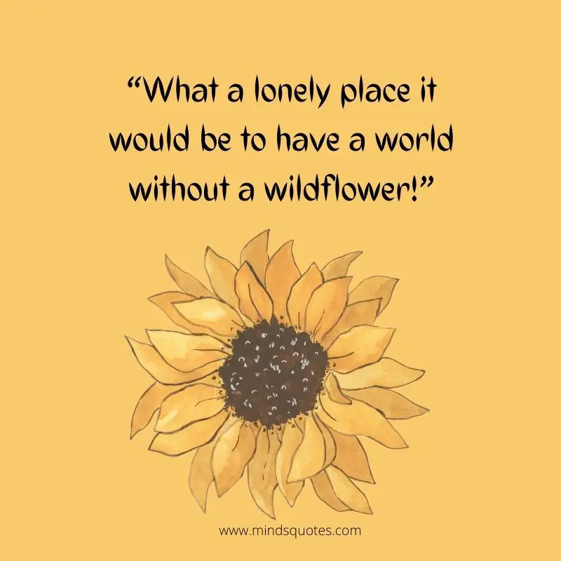 55+ BEST Flower Quotes For Love and Life & Peace 3 Flower Quotes in English
