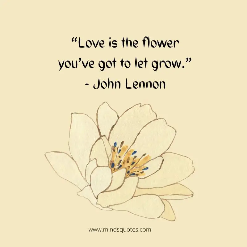 55+ BEST Flower Quotes For Love and Life & Peace 2 Flower Quotes