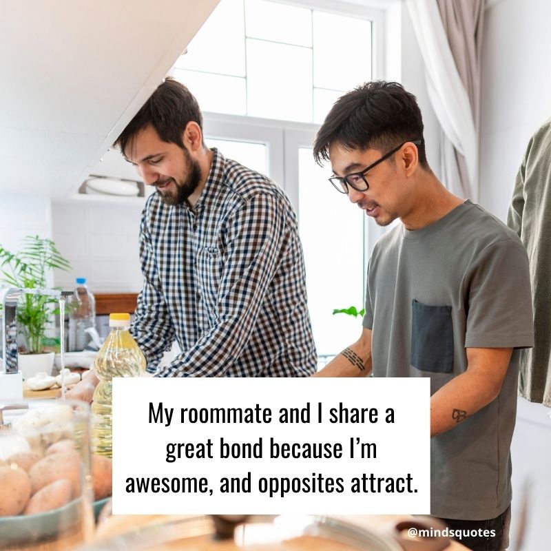 Funny Roommate Quotes and Status