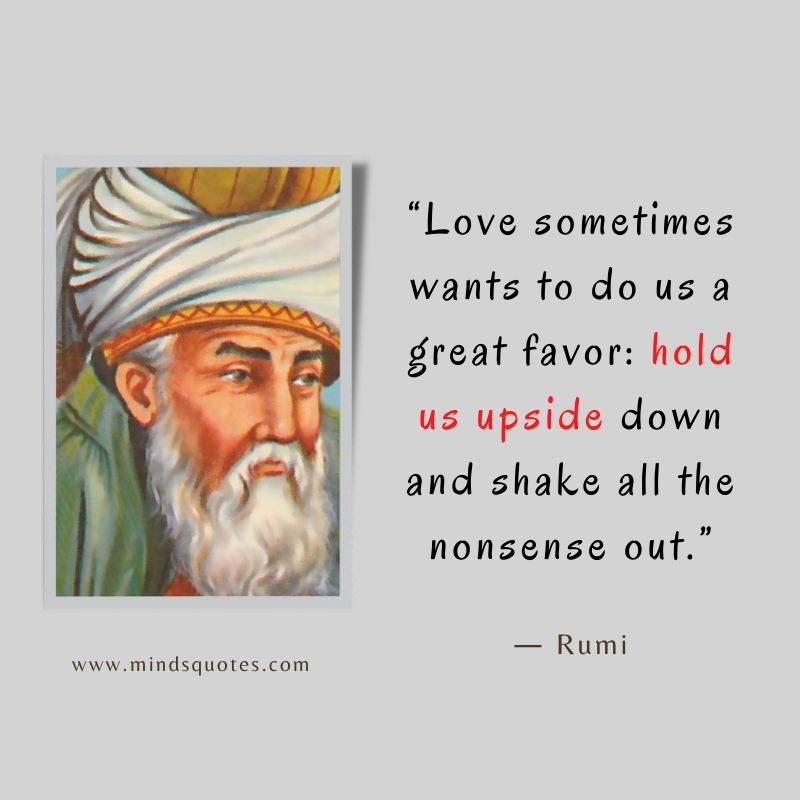 Funny Rumi Quotes