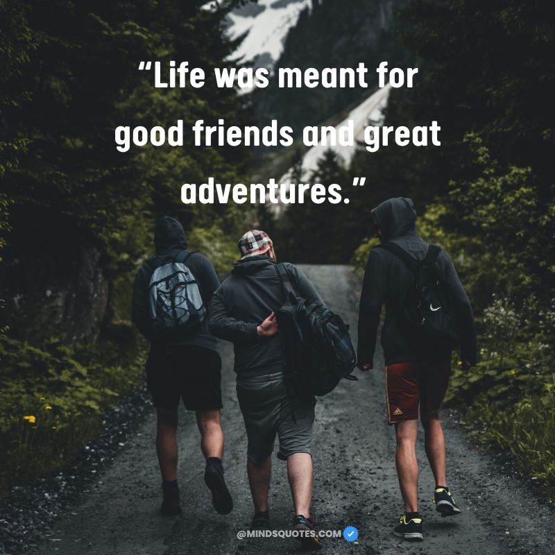 Good Friendship Quotes