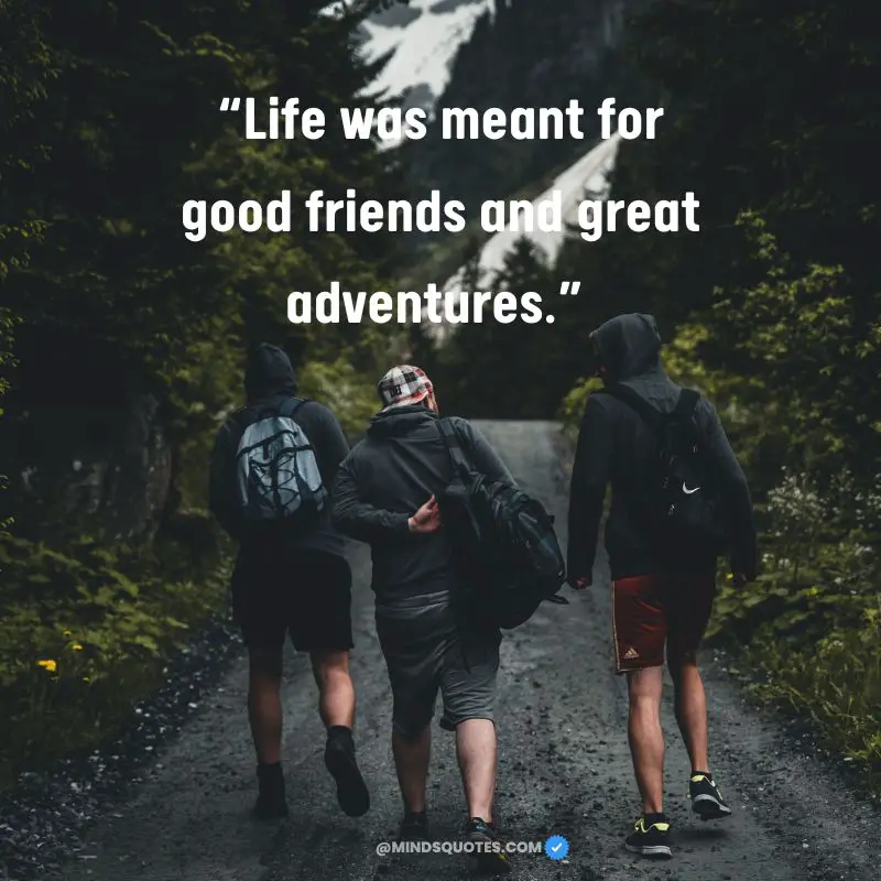 125 Best Friends Forever Quotes & Saying 19 Good Friendship Quotes