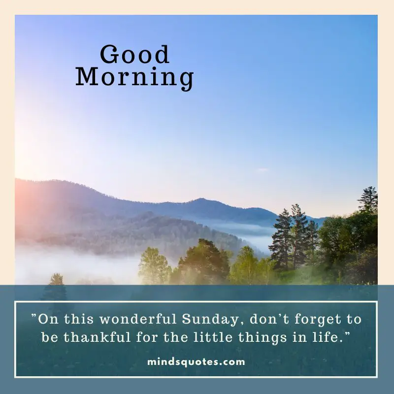 85 BEST Sunday Morning Quotes to Inspire You Every Week 13 Good Sunday Morning Quote