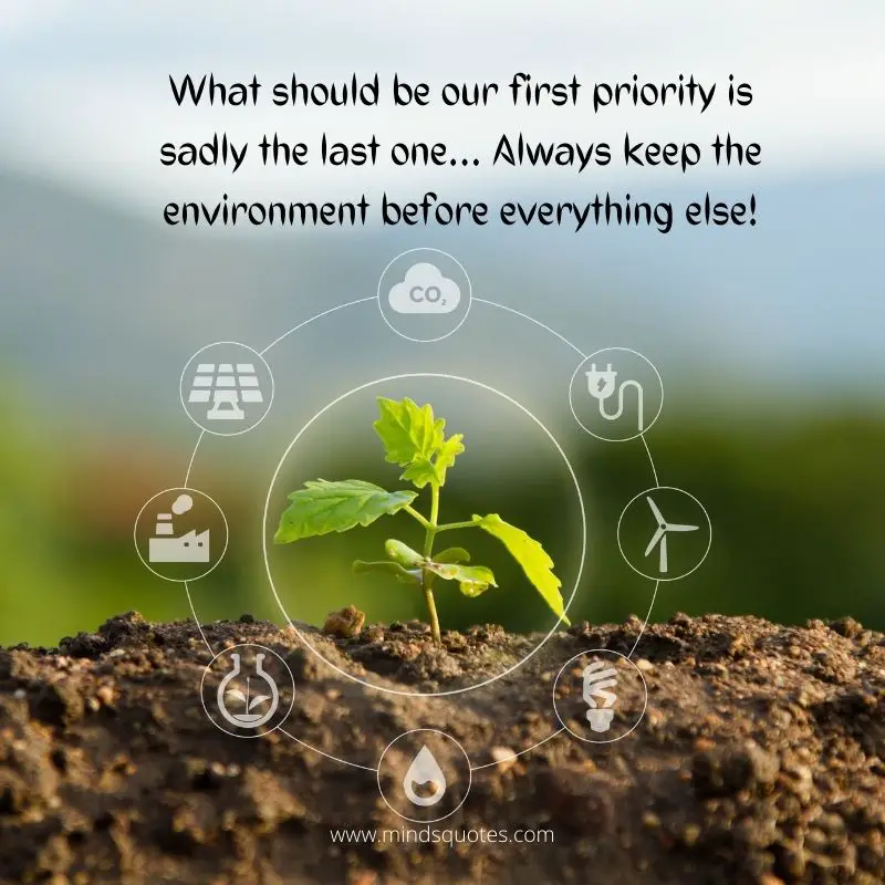 Happy World Environment Day 2023