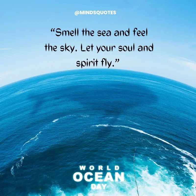 Happy World Ocean Day Quotes