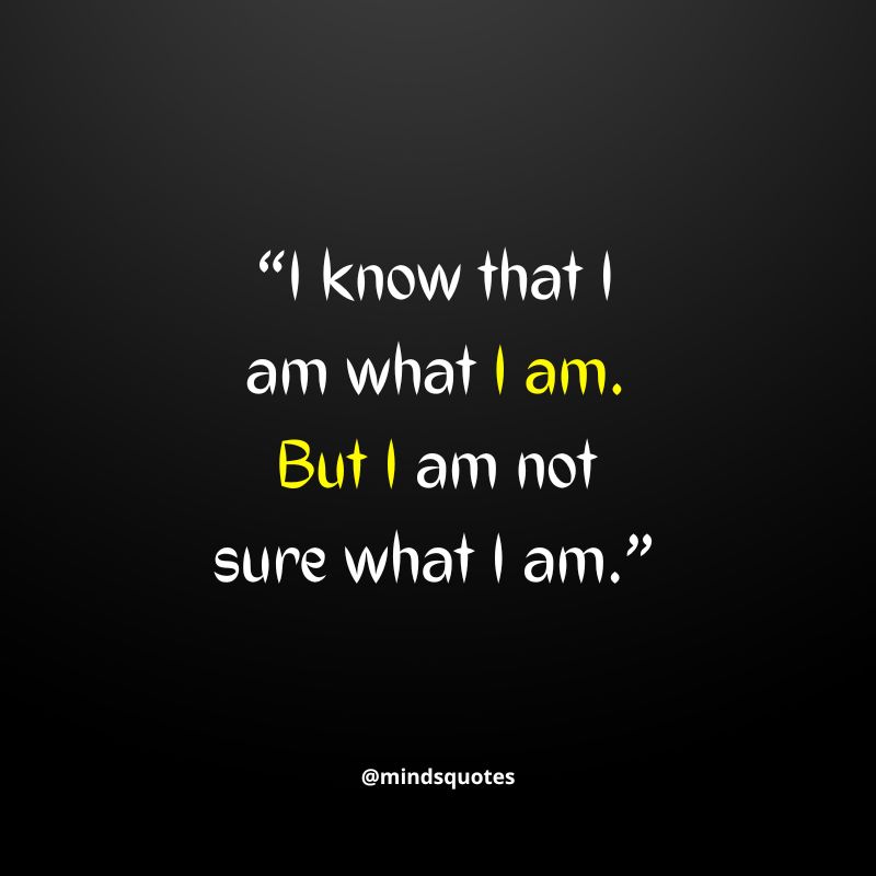 50 Inspiring I Am What I Am Quotes & Saying With Images 11 I Am What I Am Quotes Images