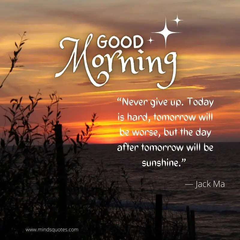 94+ BEST Happy Monday Morning Quotes and Images 24 Motivational Monday Morning Quotes