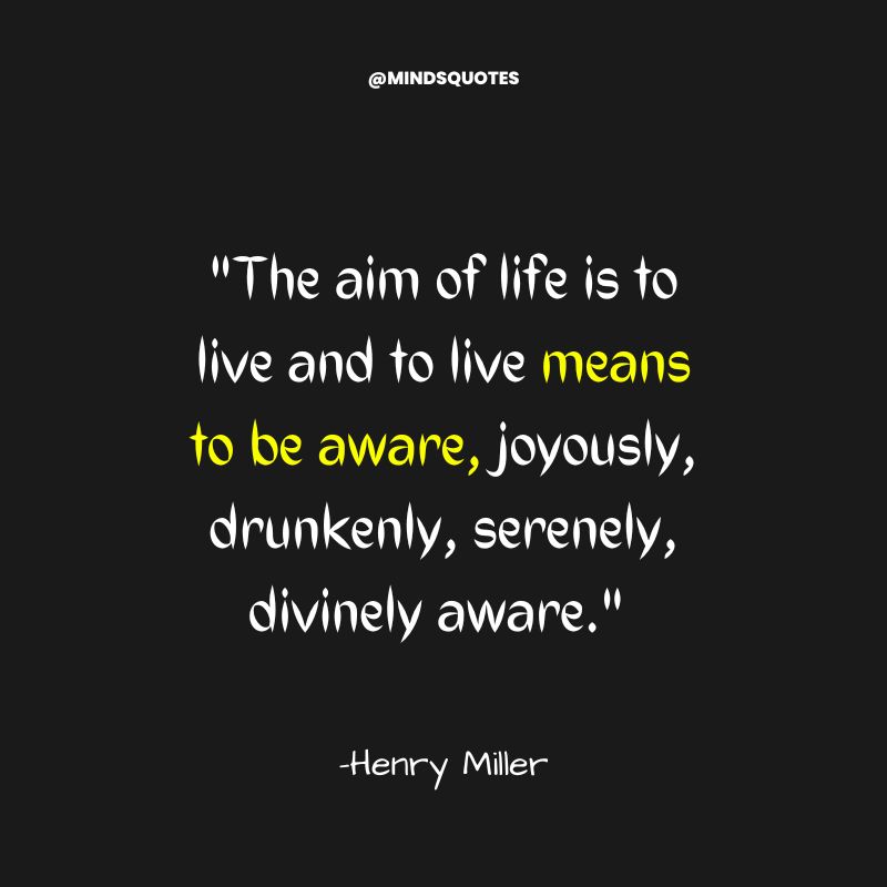 70 Quotes On Aim in Life to Help You Achieve Your Goals 28 My Aim in Life Quotations in English