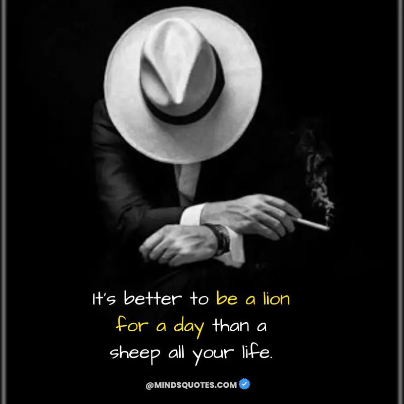 122+ BEST My Life My Rules Quotes for Attitude in English 17 My Life My Rules Quotes & Status for Boys