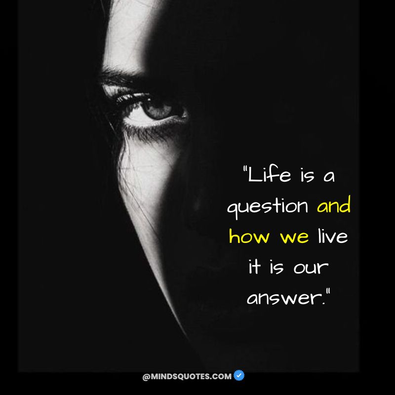 122+ BEST My Life My Rules Quotes for Attitude in English 15 My Life My Rules Quotes for Girls